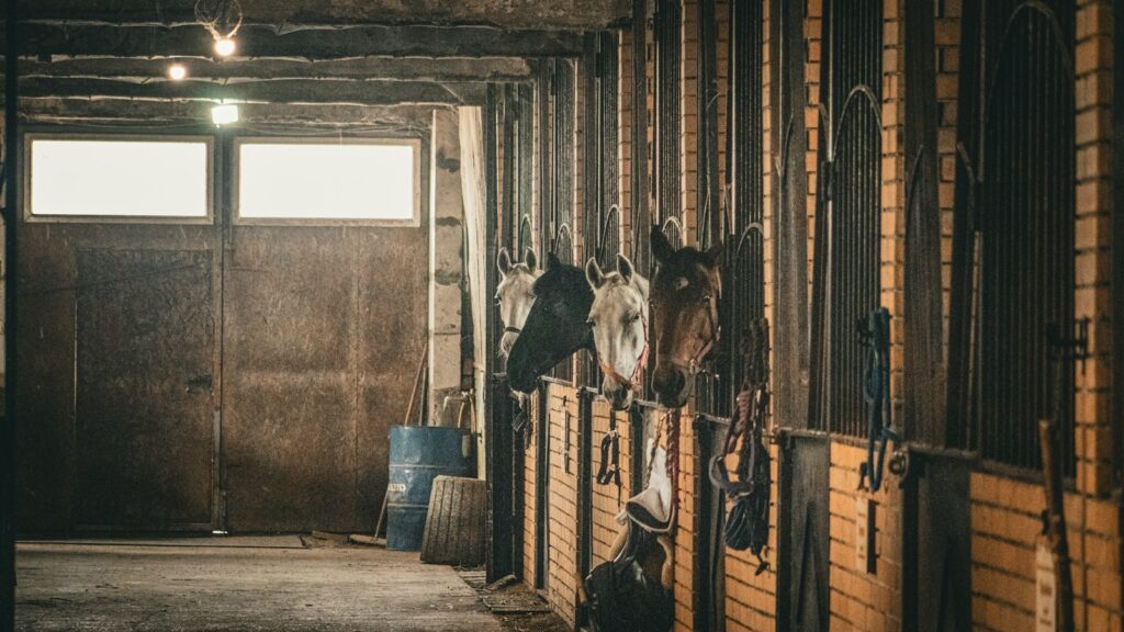 two horses in a stable with their heads in the stalls
