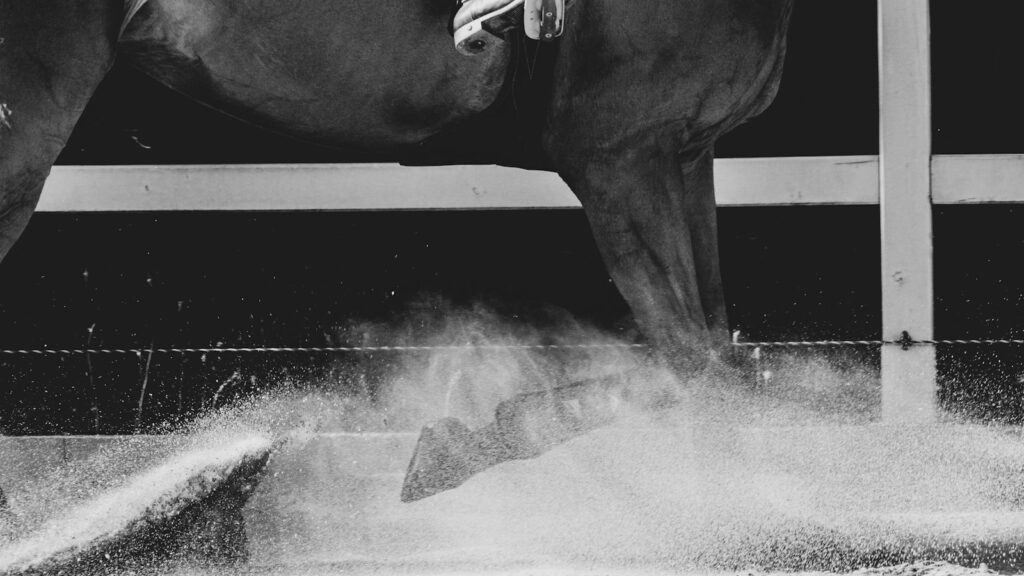 grayscale photo of horse in water