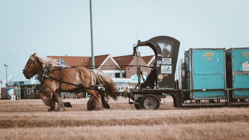 brown horse on grass field