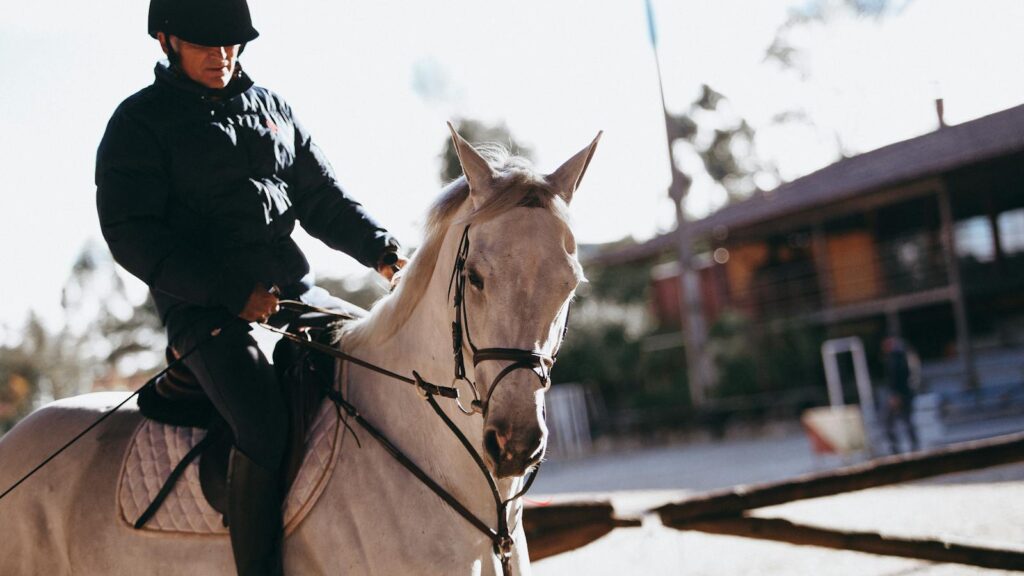 Man in equestrian gear riding a white horse outdoors during sunset.