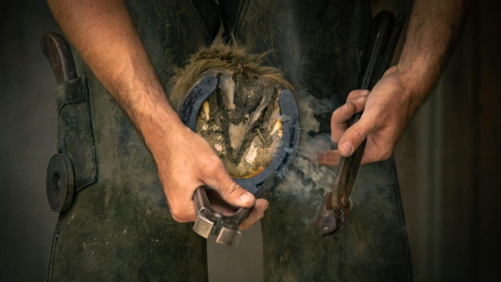 A farrier shaping a horseshoe on a horse's hoof with tools, showcasing skilled craftsmanship.