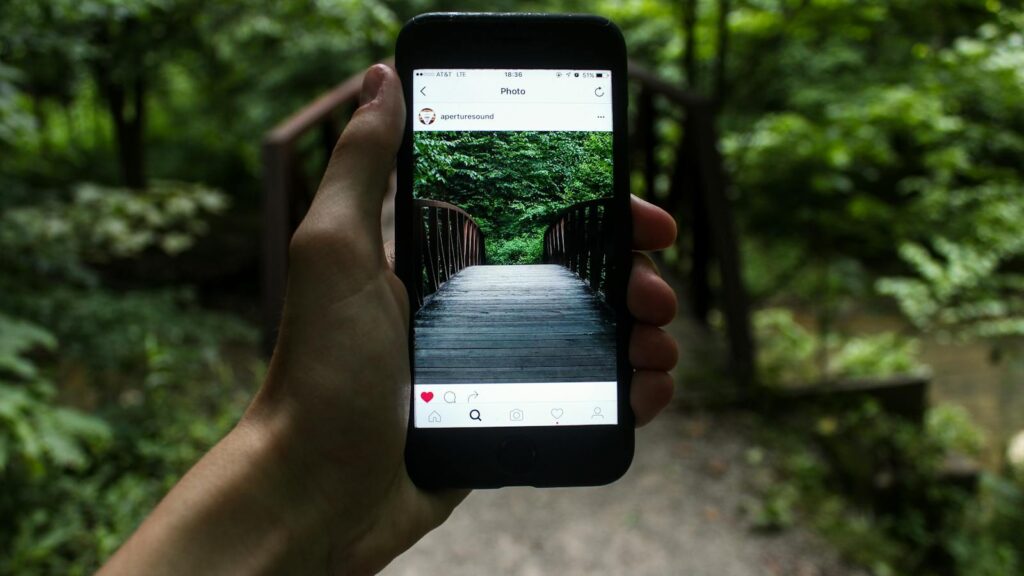 A hand holds a smartphone capturing a forest bridge in a natural setting.