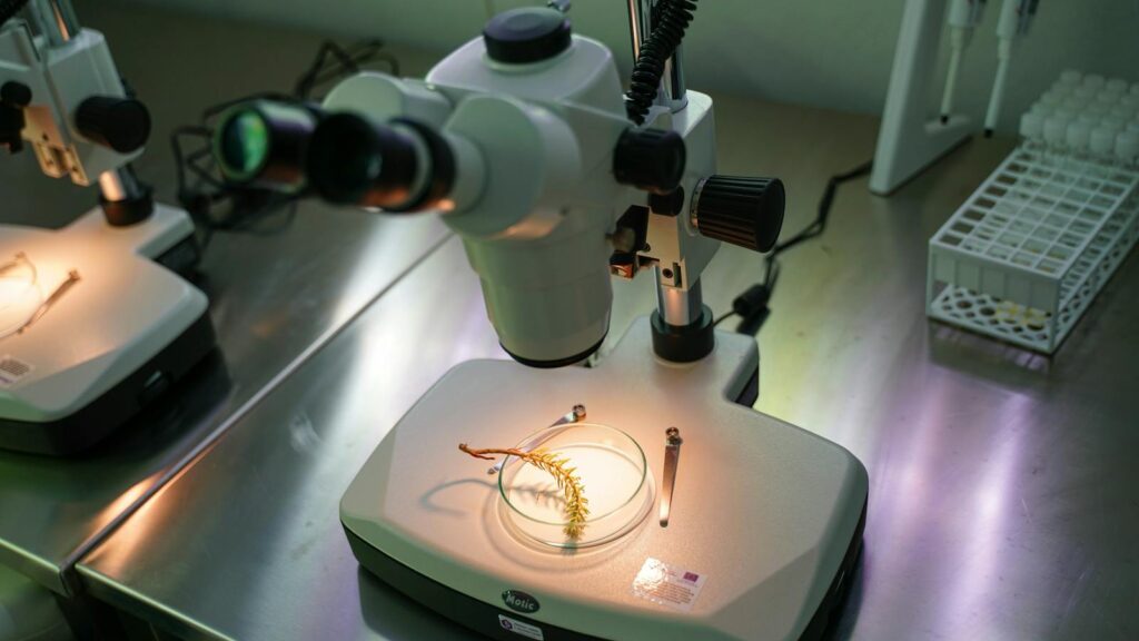 Microscopes with biological samples in a laboratory setting, showcasing science in action.