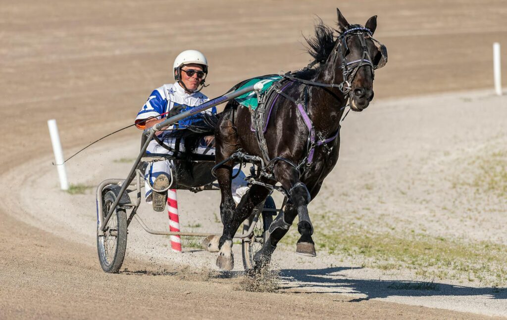 Exciting harness racing action with jockey and horse in full stride.