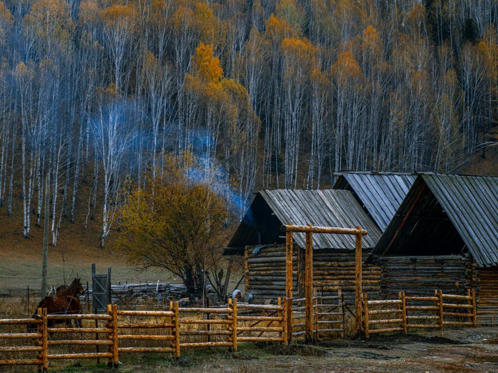 Rustic barn and fencing with smoke in a serene autumn forest landscape.