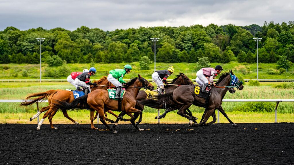 Horse racing action with jockeys and horses competing on racetrack in Erie, PA.