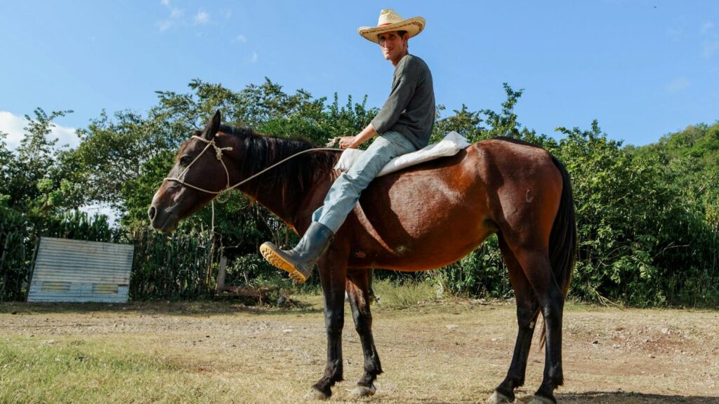 Man wearing cowboy hat riding a horse in a rural setting with blue sky.
