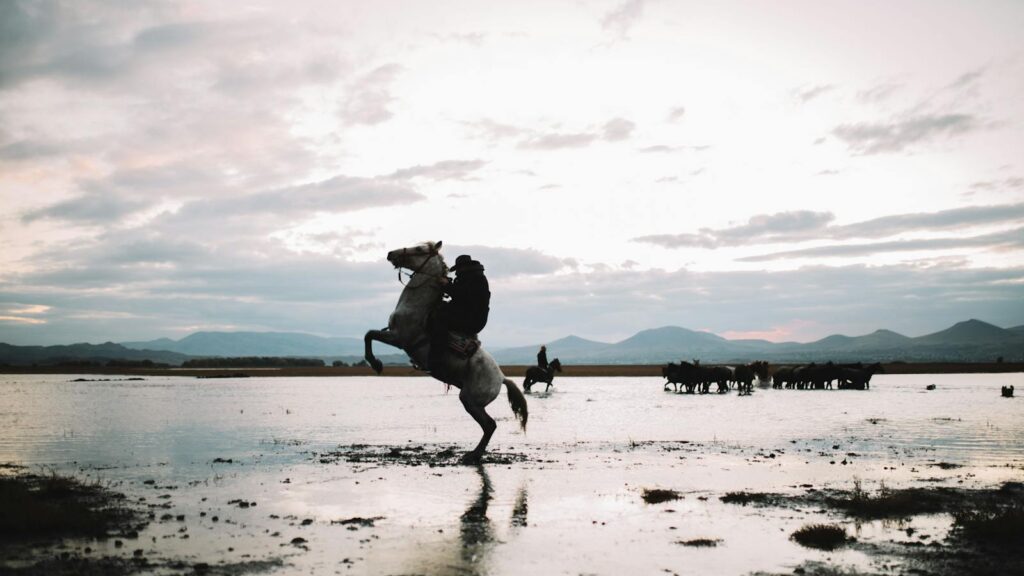 A person on a rearing horse at sunset with mountains in the background.