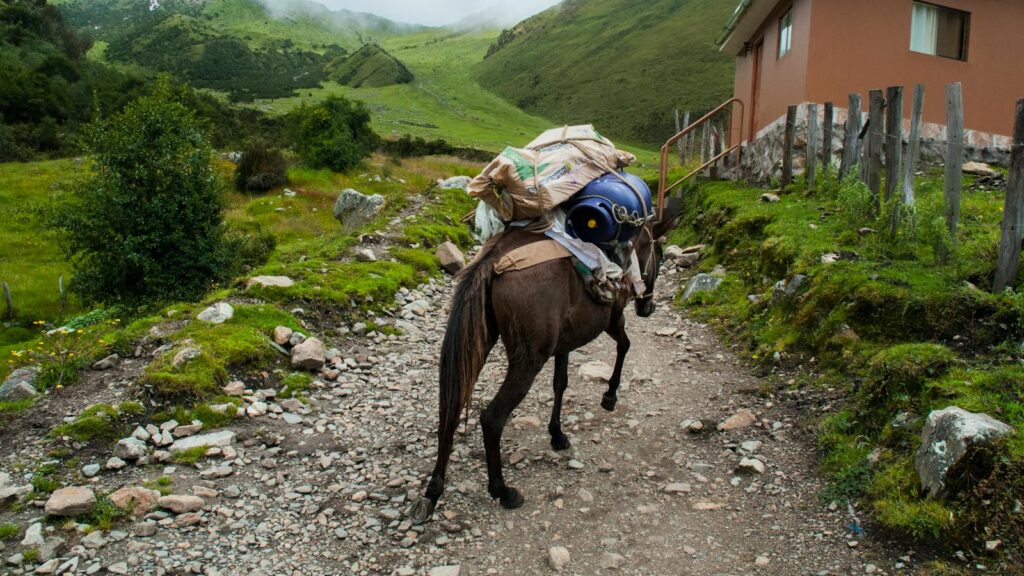 A brown horse carrying freight along a rocky trail in a green mountainous area, beside a rustic building.
