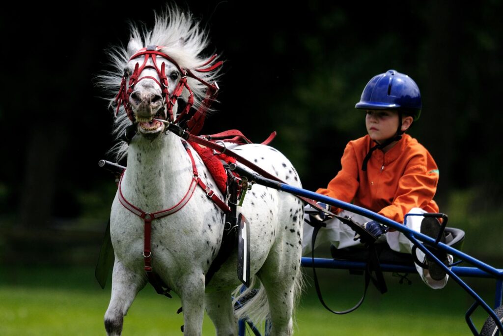 Child riding a spotted pony in a dynamic equestrian sport outdoors.