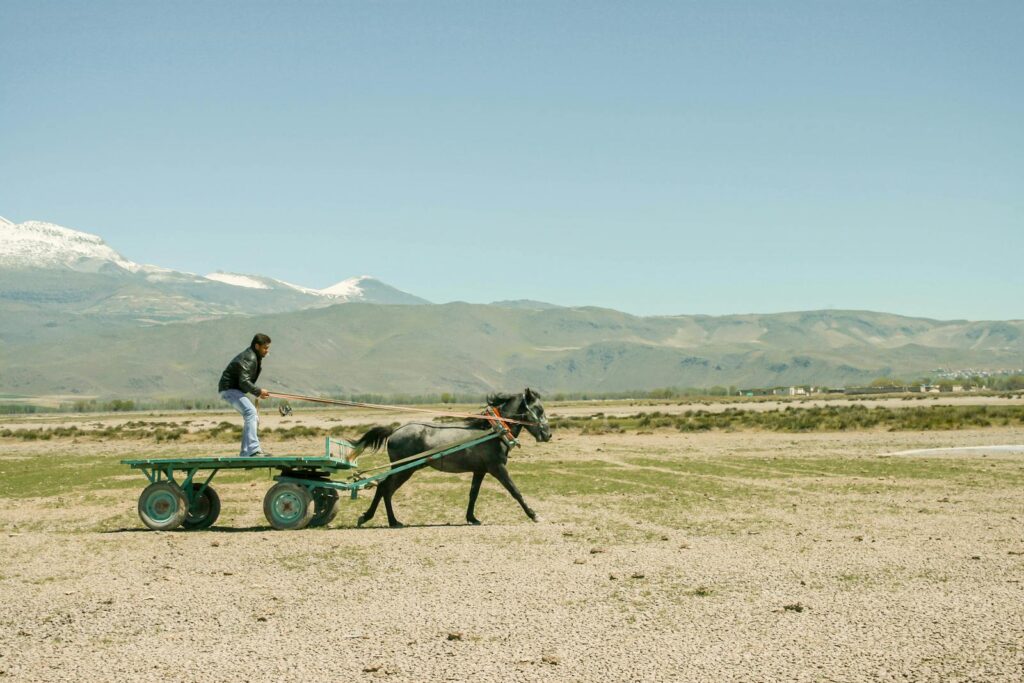 A man drives a horse-drawn cart across a rural landscape with mountains.