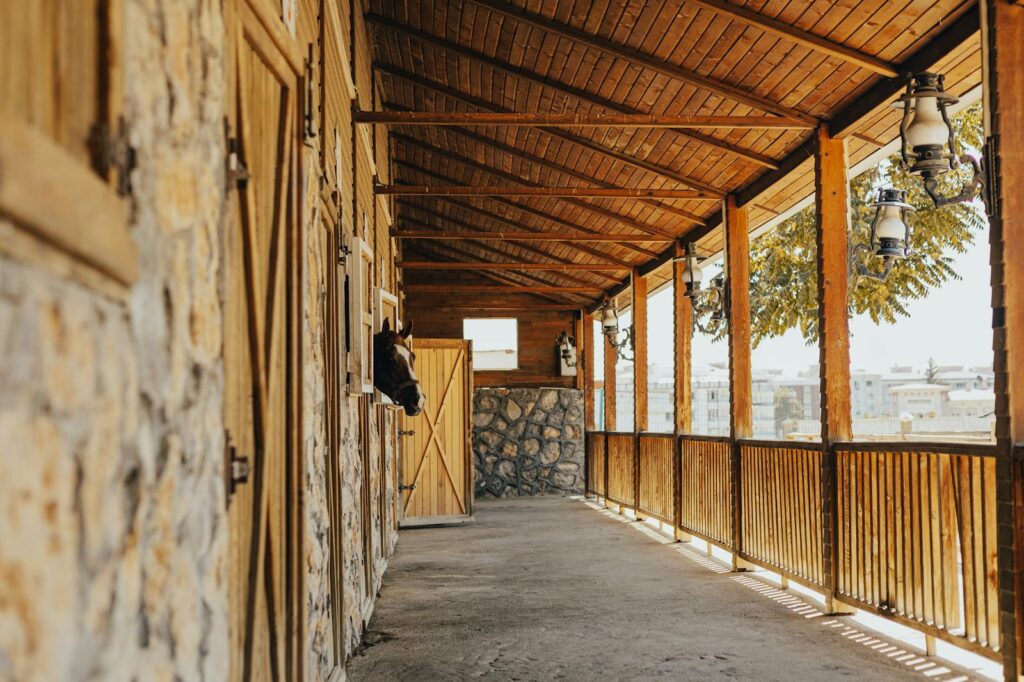 A rustic wooden stable corridor with a horse looking out, bathed in sunlight.
