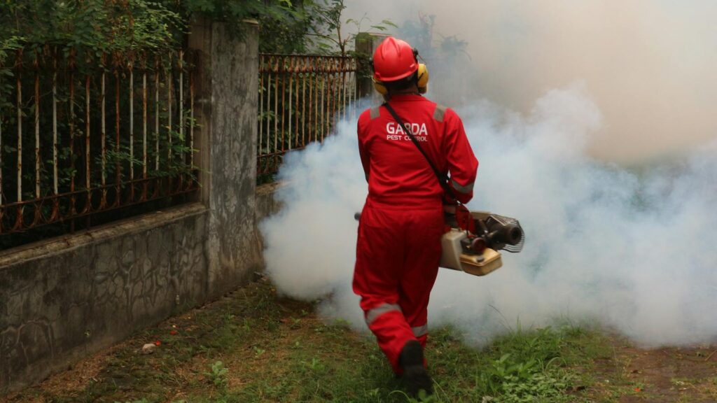 A pest control worker fogging in an outdoor space with smoke to eliminate pests.