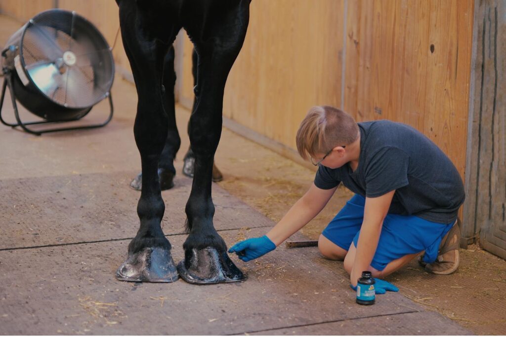 Young boy applying hoof oil to horse hooves in a stable, emphasizing rural life and animal care.