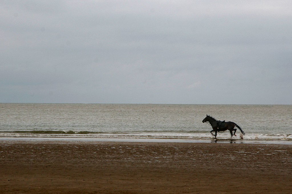 Panicking horse