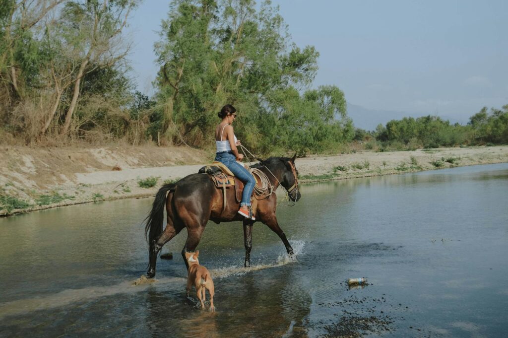 Woman riding a horse across a river with a dog beside, depicting a serene outdoor scene.