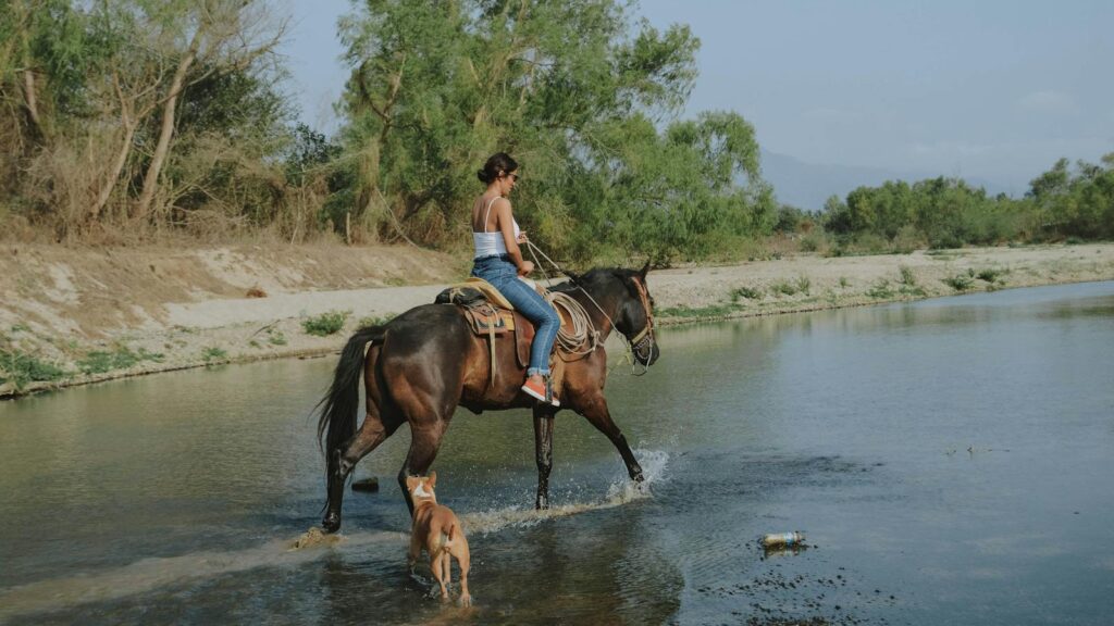 Woman riding a horse across a river with a dog beside, depicting a serene outdoor scene.