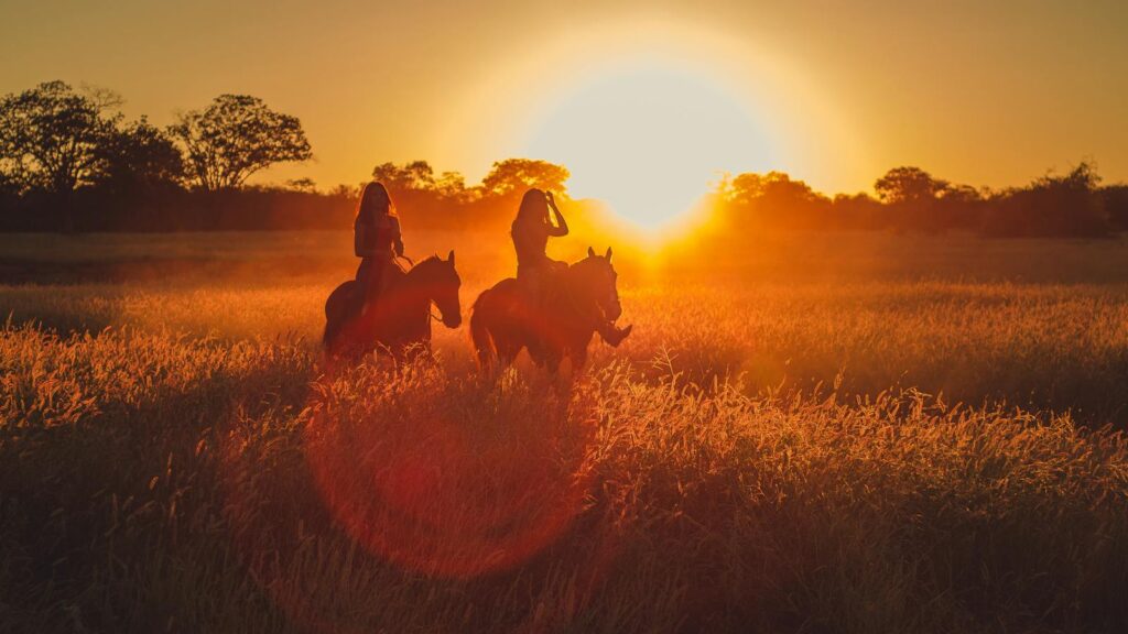 Two people riding horses in a golden field during sunrise, creating a silhouette effect.