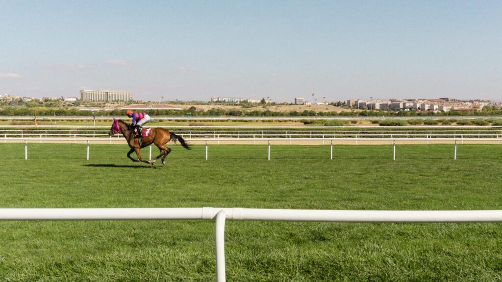 Exciting horse racing event with rider on a green racecourse, cityscape in the background.