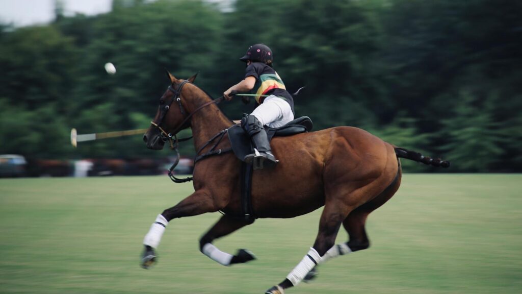 An intense polo match capturing a rider skillfully maneuvering a galloping horse.