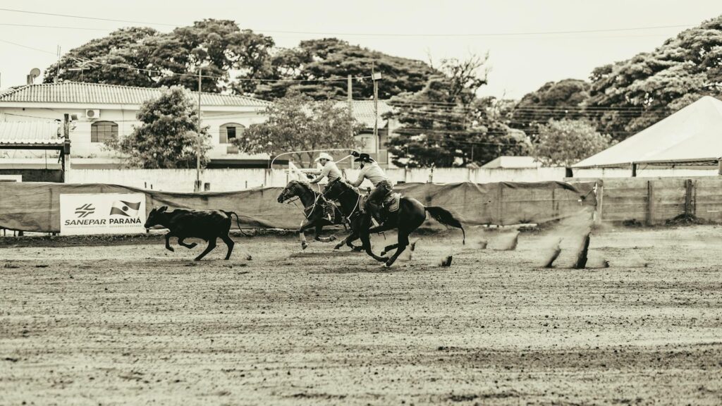 Rodeo competition with cowboys in Maringá, Brazil showcasing traditional cowboy culture.