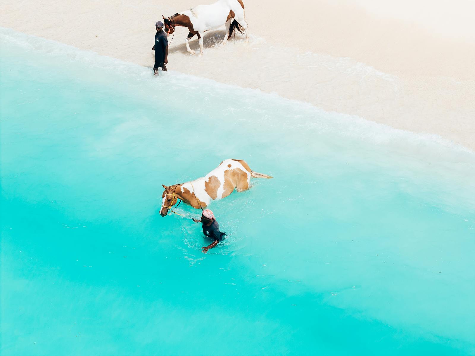 Two people with horses enjoying the clear turquoise ocean at Unguja South, Tanzania.