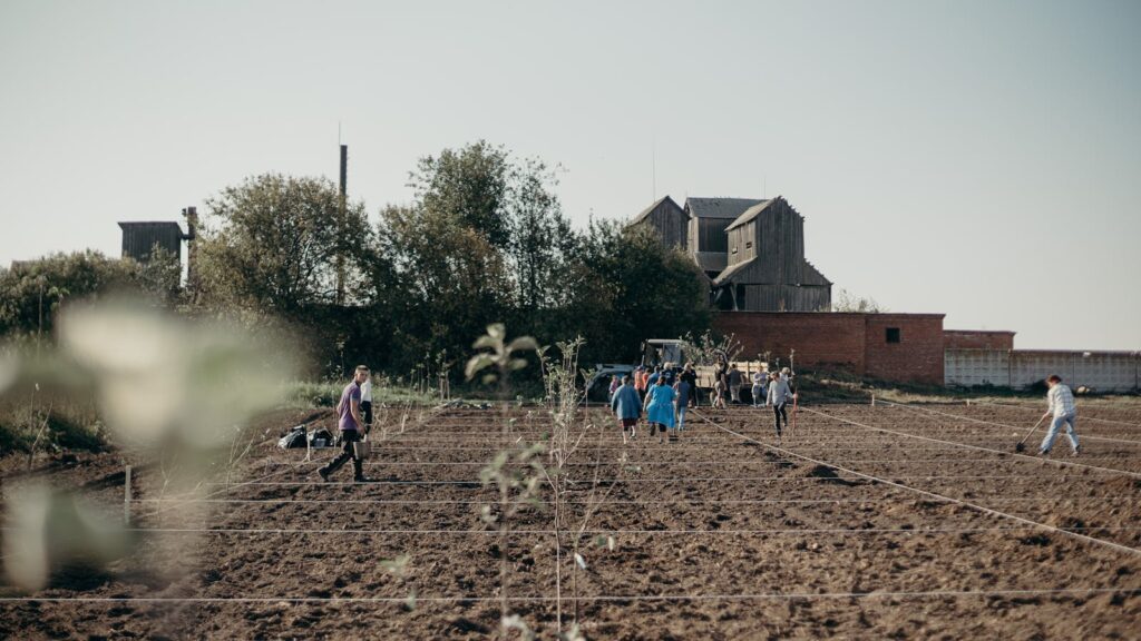 Group of people working in a rural field, preparing soil near a rustic barn under clear skies.