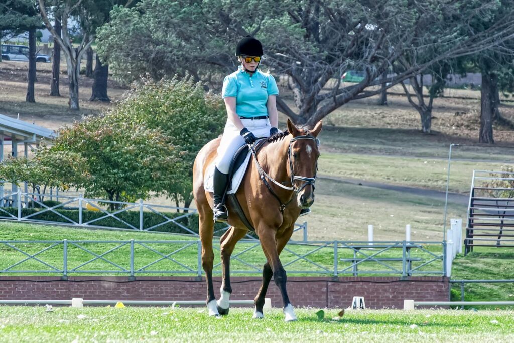 Female equestrian riding a horse in a scenic park setting on a clear day.