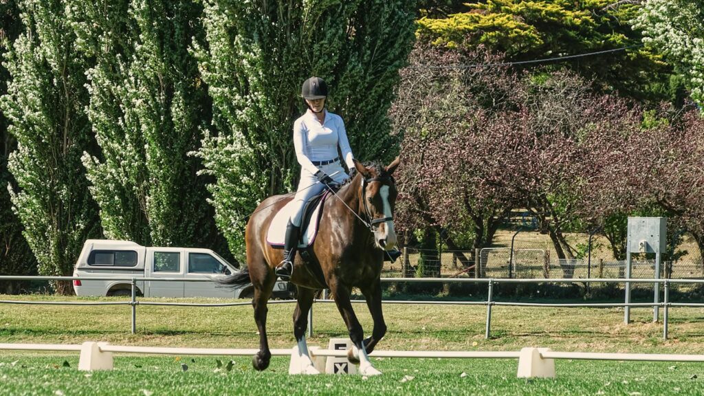 Rider elegantly maneuvers horse on a sunny day in a park setting.