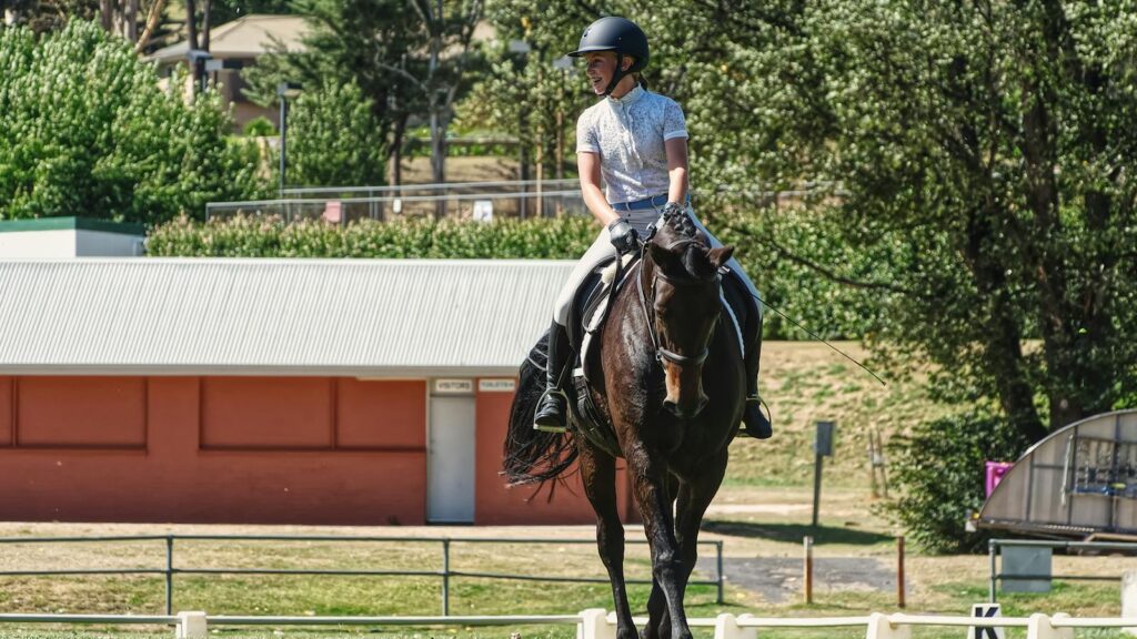 A young woman riding a horse in a sunny outdoor arena surrounded by trees.