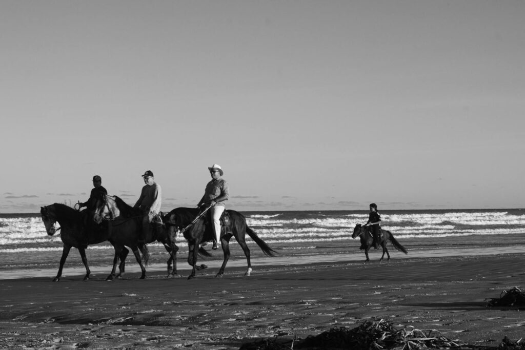 Free stock photo of aracaju, beach, black and white