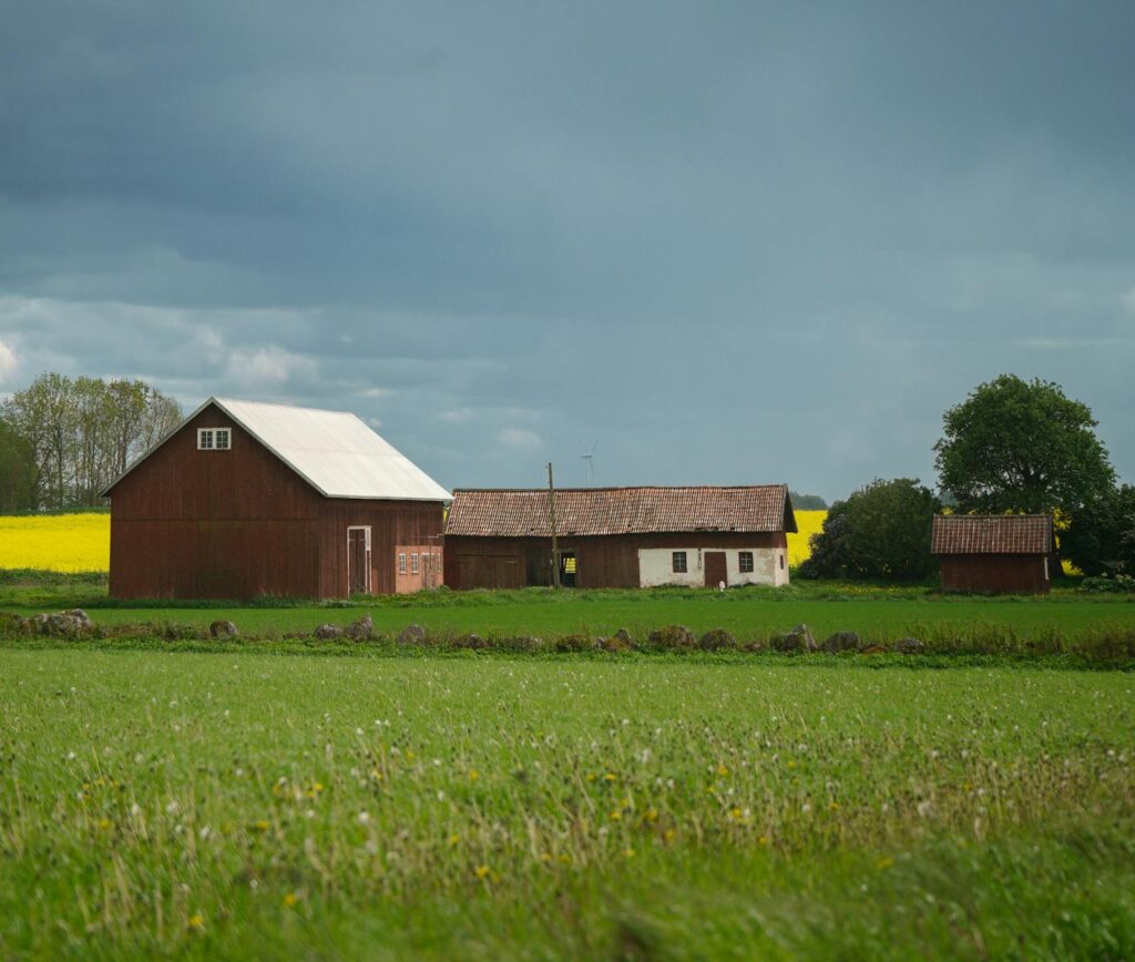 A beatiful ranch full of greenery