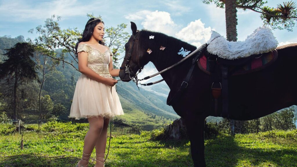 a horse with a girl