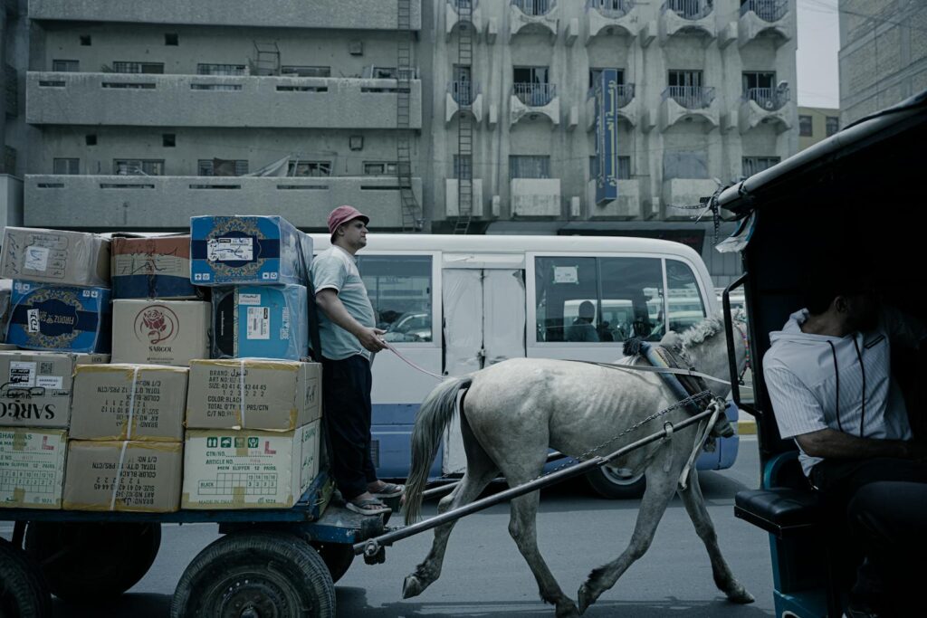 A white horse driven by a man with heavy luggage