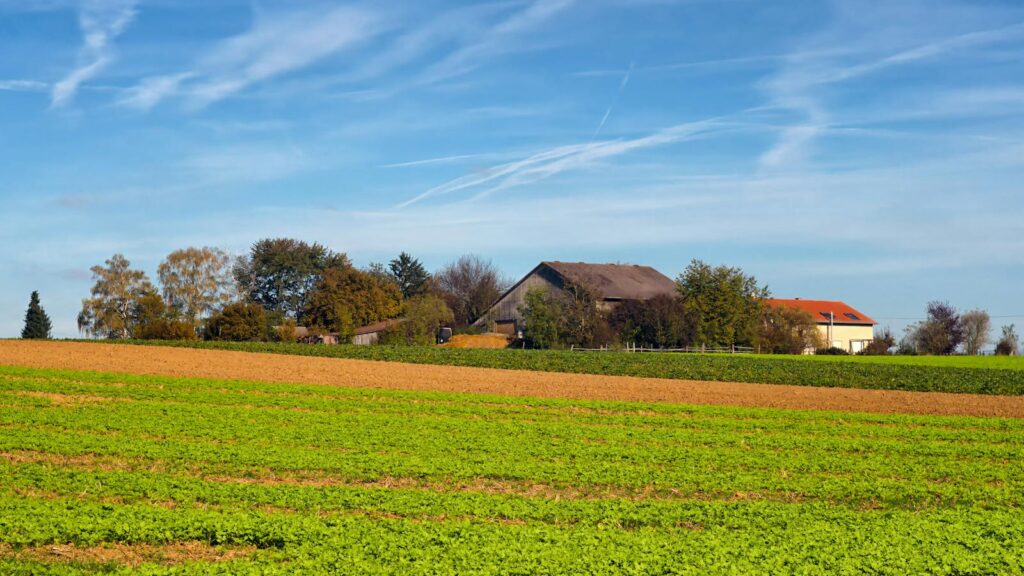 A big farm behind a bunch of trees