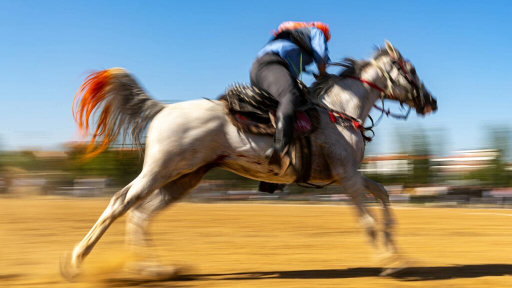 horse riding