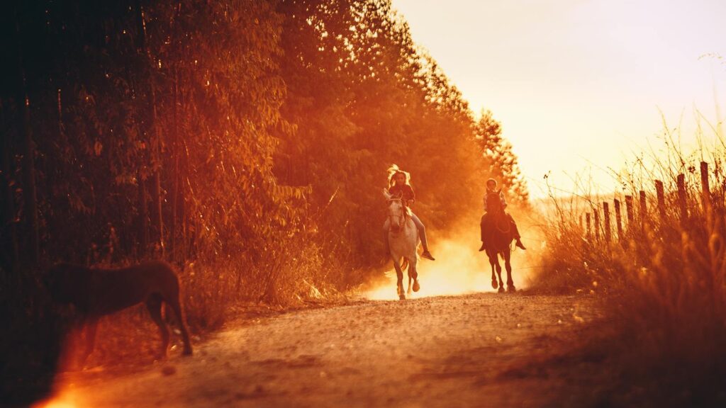 Silhouetted riders on horseback at sunset, creating a warm, dramatic scene.