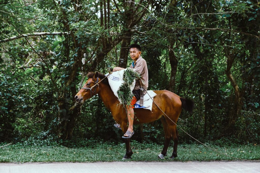 A man rides a horse through a dense forest, carrying foliage for livestock feed.