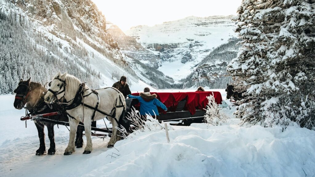 men's standing beside two horses near mountain during daytime