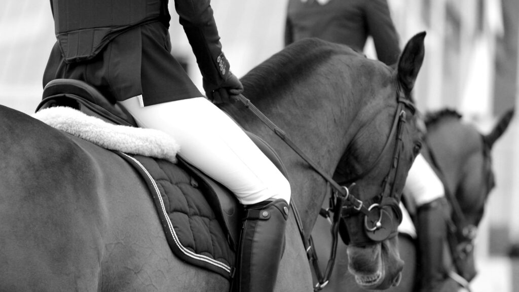 woman riding on horse