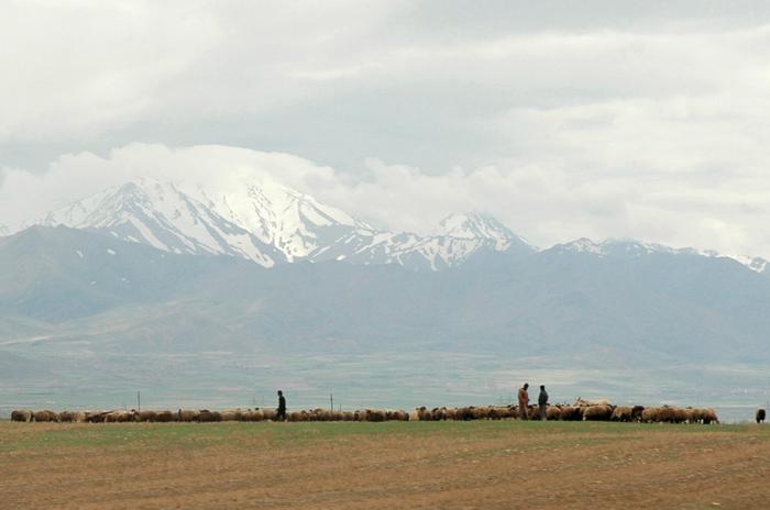 The Nisaean plain, surrounding Ecbatana (modern Hamadan)
