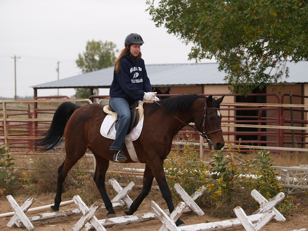 Cavaletti training