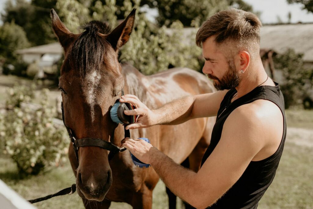 A man brushing a brown horse outdoors at an equestrian stable on a sunny day.