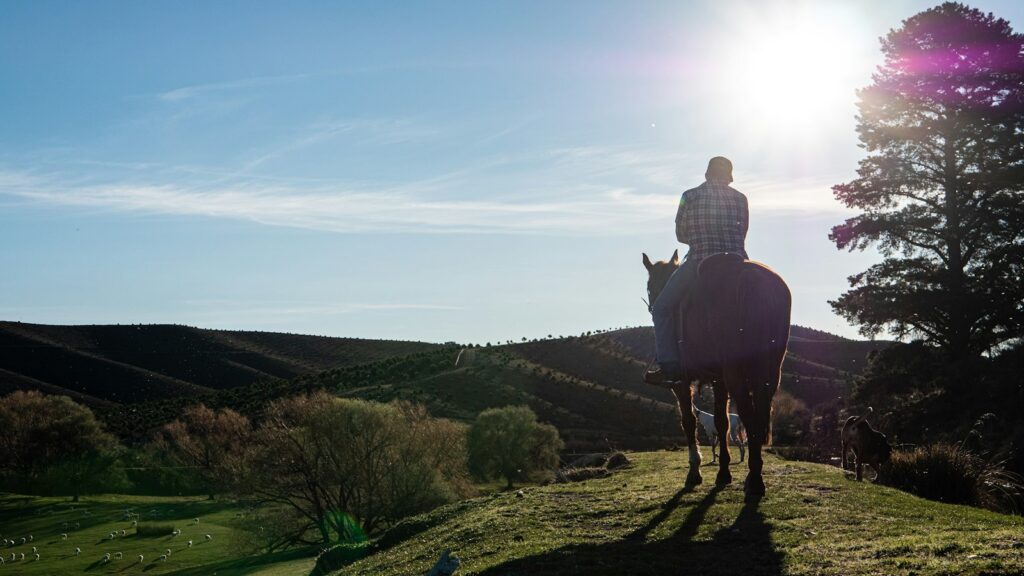 a man riding a horse on top of a lush green hillside
