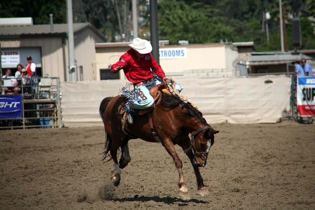 Horse strength tossing