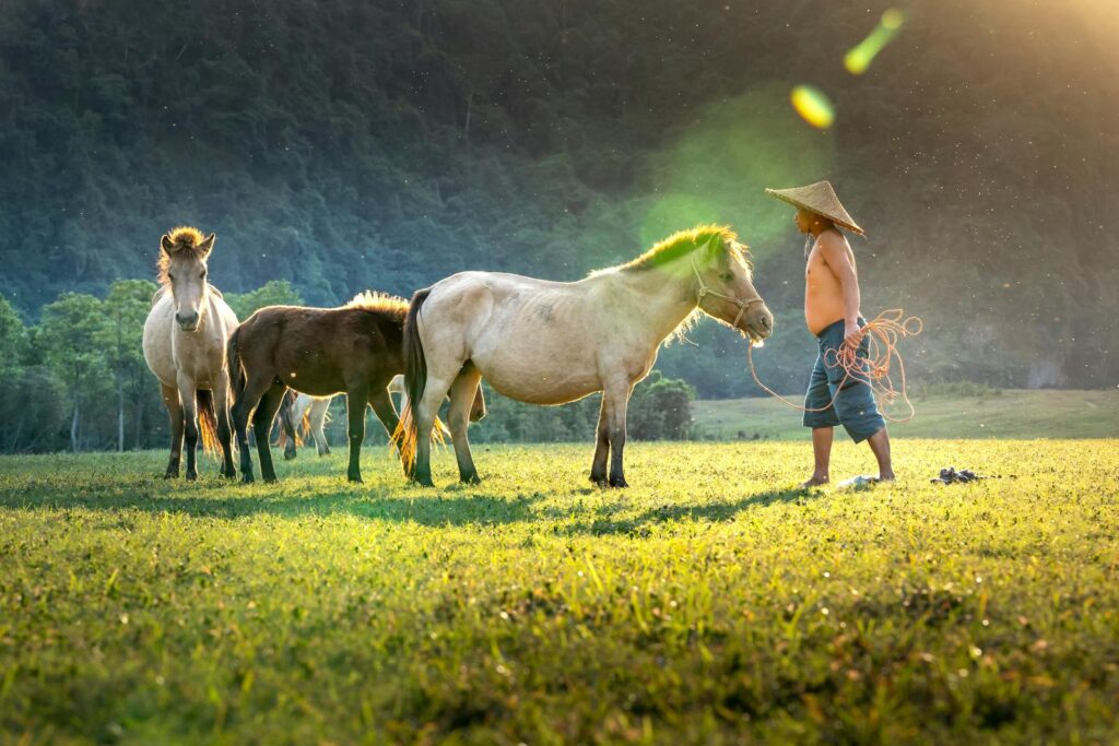 A farmer with a conical hat leads horses in a sunlit field, surrounded by nature.
