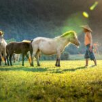 A farmer with a conical hat leads horses in a sunlit field, surrounded by nature.