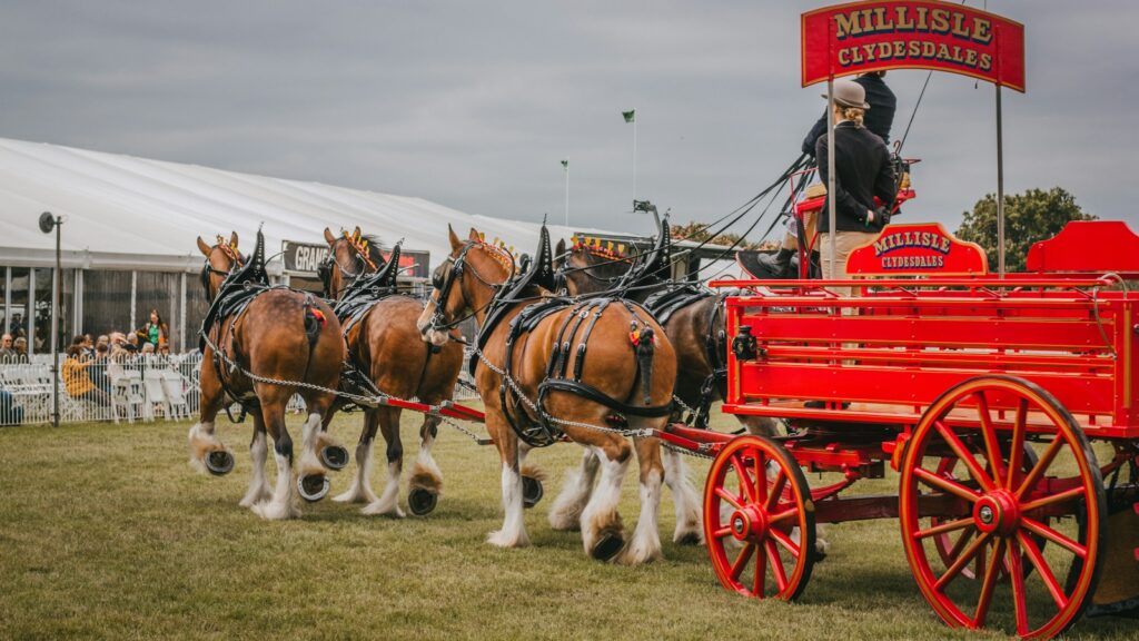 a group of horses pulling a red wagon