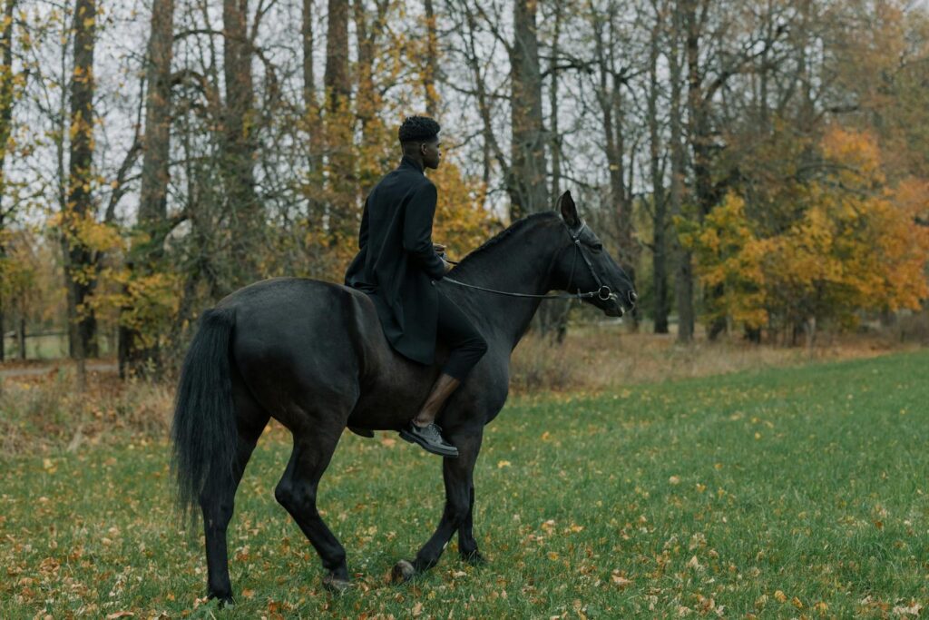 A man rides a horse through an autumnal forest, showcasing equestrian lifestyle.