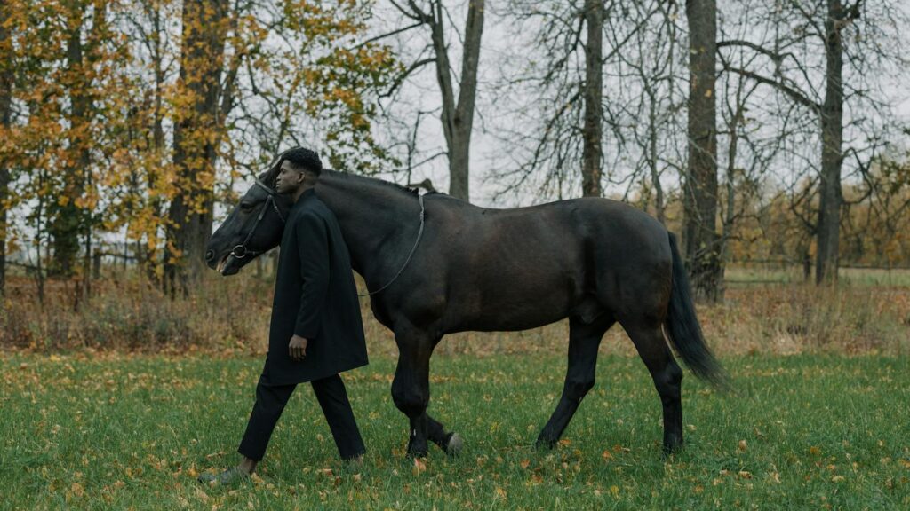 A man walking a dark horse through a lush autumn park, embracing nature.